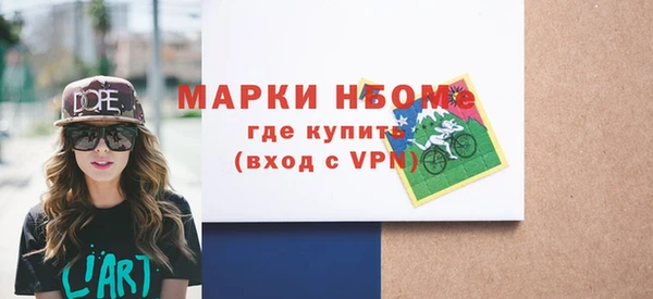 мдпв Каменка