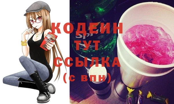 мдпв Каменка