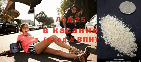 мдпв Каменка