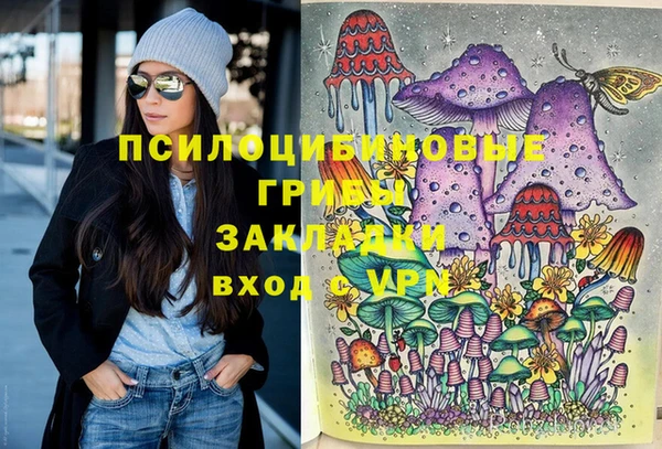 мдпв Каменка