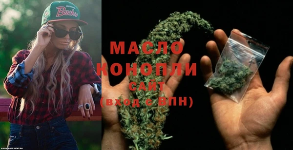 мдпв Каменка
