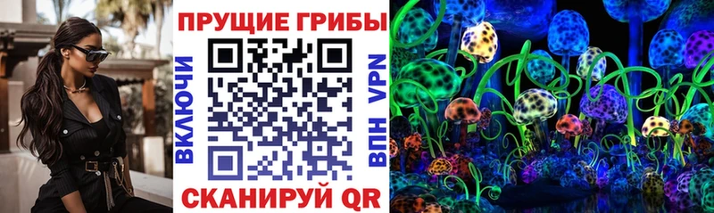 Купить где  Буйнакск  Псилоцибиновые грибы Cubensis 